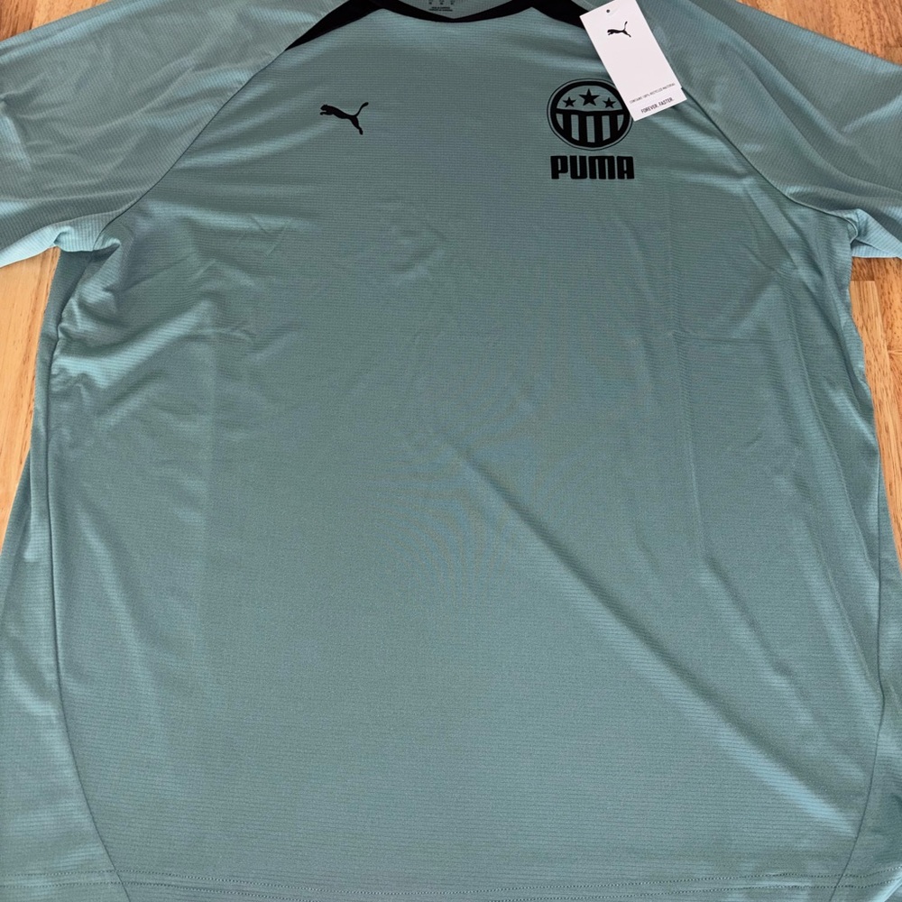 Puma Men's Teal Jersey Shirt